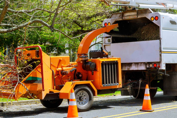 Best Aeration Services  in Fairview, TX
